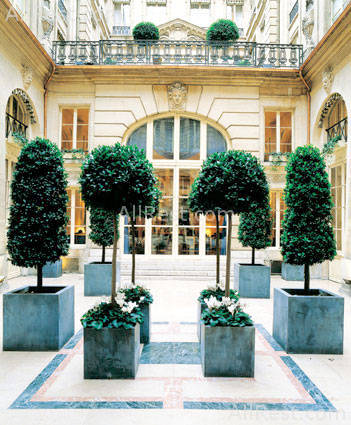 Hotel De Crillon 2